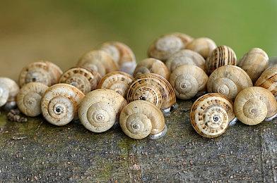 无剧透！《塞尔达传说：王国之泪》海量偷跑细节汇总